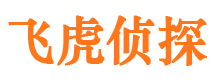 武平资产调查